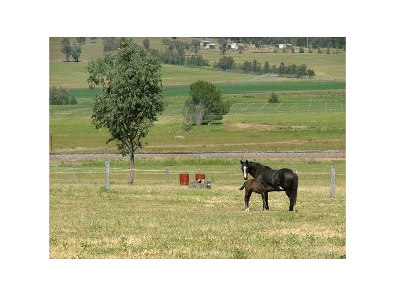 1395 Merriwa Road, Denman NSW 2328