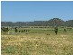 1395 Merriwa Road, Denman NSW 2328