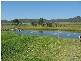 1395 Merriwa Road, Denman NSW 2328