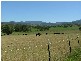 25 Kingdon Street, Scone NSW 2337