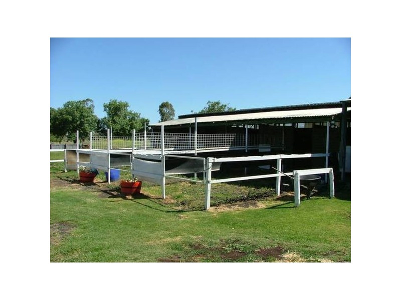 25 Kingdon Street, Scone NSW 2337