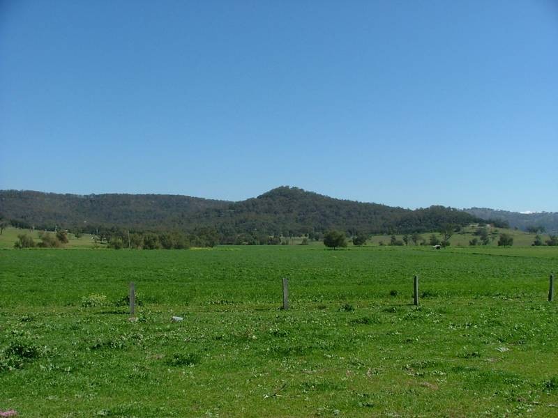 Lot 1, 1270 Ridgelands Road, Wybong NSW 2333