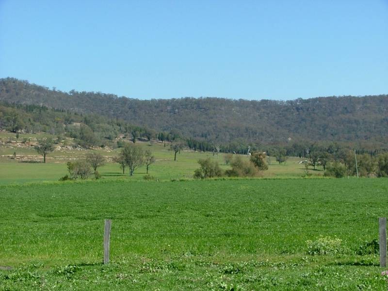 Lot 1, 1270 Ridgelands Road, Wybong NSW 2333