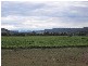 Richmond Grove Road, Sandy Hollow NSW 2333