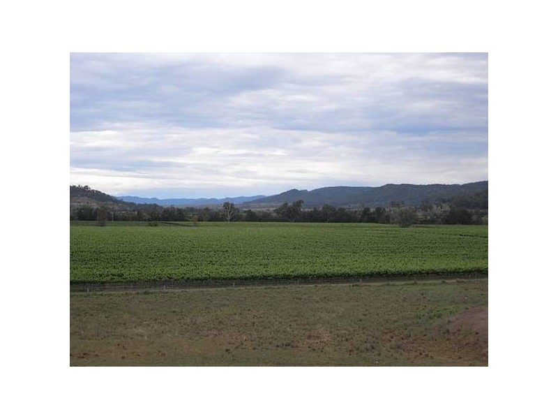 Richmond Grove Road, Sandy Hollow NSW 2333