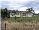 Richmond Grove Road, Sandy Hollow NSW 2333