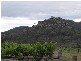 Richmond Grove Road, Sandy Hollow NSW 2333