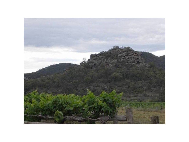Richmond Grove Road, Sandy Hollow NSW 2333