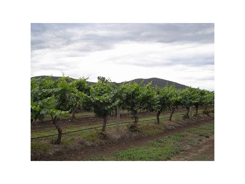 Richmond Grove Road, Sandy Hollow NSW 2333