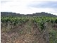 Richmond Grove Road, Sandy Hollow NSW 2333