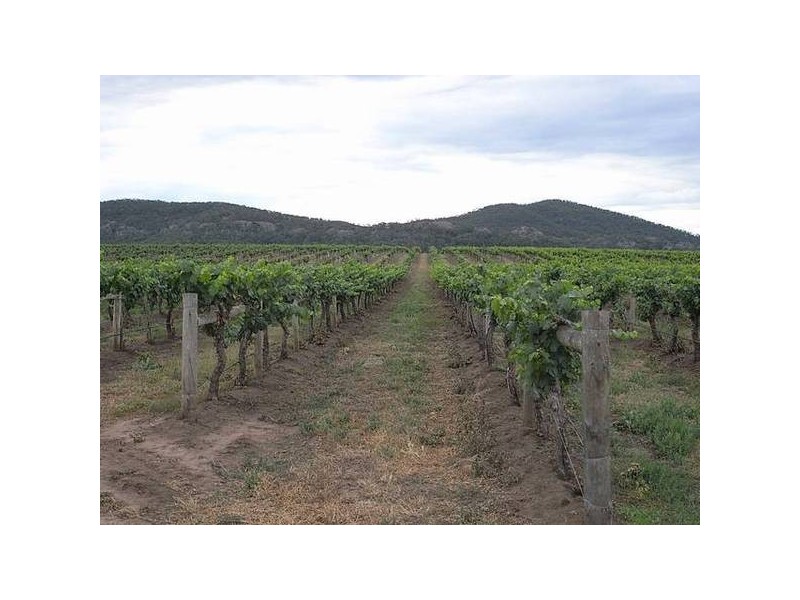 Richmond Grove Road, Sandy Hollow NSW 2333