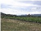 Richmond Grove Road, Sandy Hollow NSW 2333