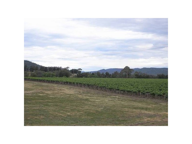 Richmond Grove Road, Sandy Hollow NSW 2333