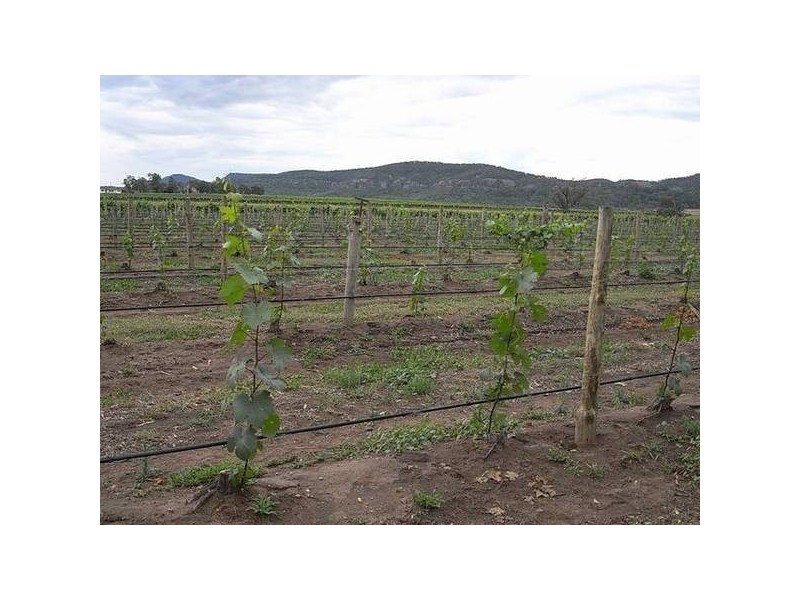 Richmond Grove Road, Sandy Hollow NSW 2333