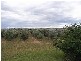 Denman Road, Muswellbrook NSW 2333