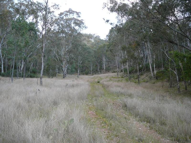 1 Timor Caves Road, Timor NSW 2338