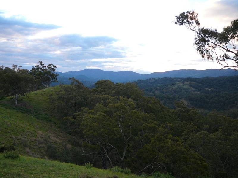 1 Timor Caves Road, Timor NSW 2338