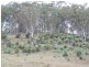 1 Timor Caves Road, Timor NSW 2338