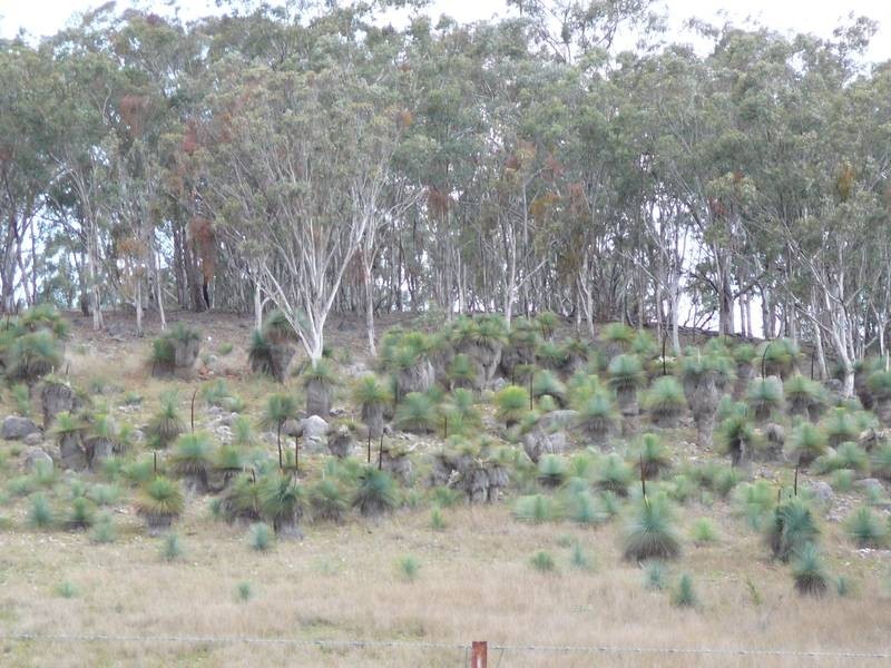 1 Timor Caves Road, Timor NSW 2338