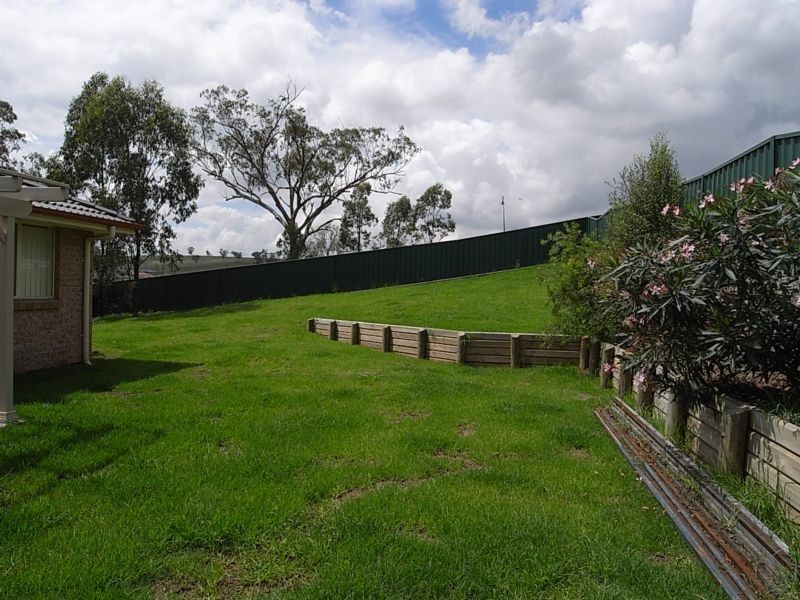 29 Bloodwood Road, Muswellbrook NSW 2333