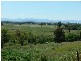 Abercairney Terrace, Aberdeen NSW 2336