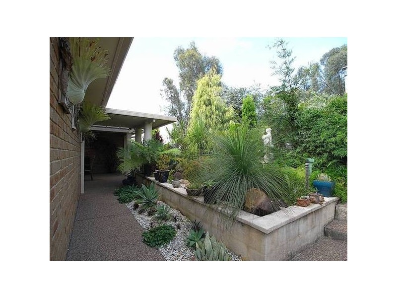 19 Edinglassie Drive, Muswellbrook NSW 2333