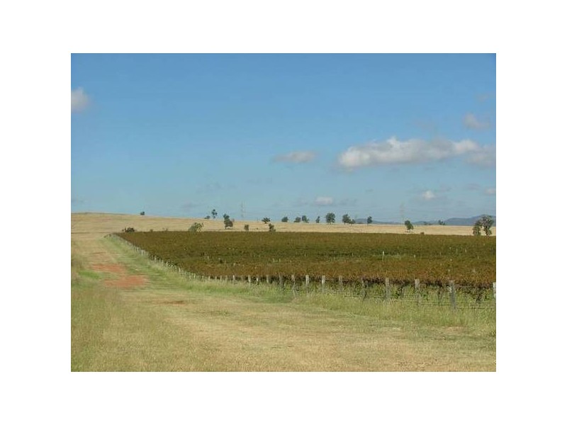 Denman Rd, Muswellbrook NSW 2333