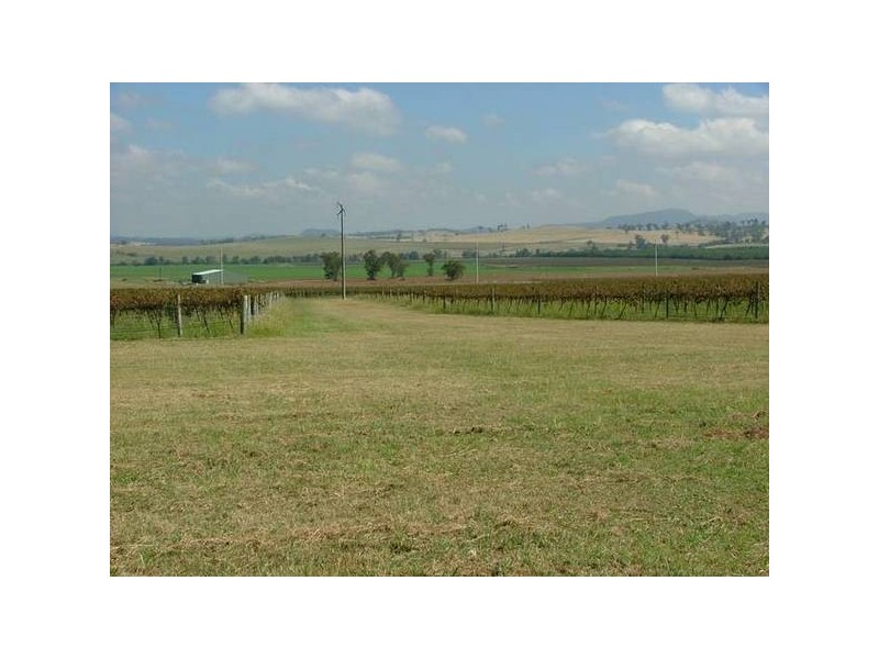 Denman Rd, Muswellbrook NSW 2333