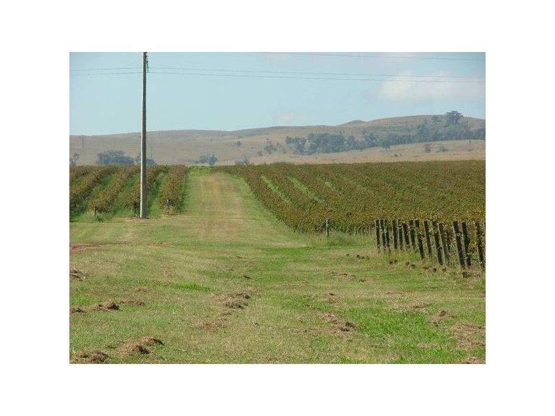 Denman Rd, Muswellbrook NSW 2333