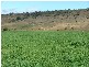 160 Bureen Rd, Denman NSW 2328