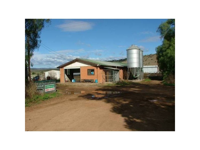 160 Bureen Rd, Denman NSW 2328
