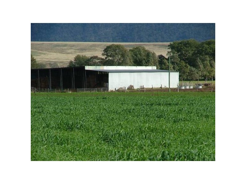 160 Bureen Rd, Denman NSW 2328