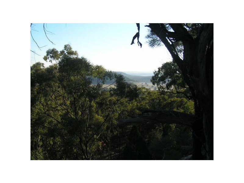 1399 Flags Rd, Merriwa NSW 2329