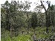 1399 Flags Rd, Merriwa NSW 2329