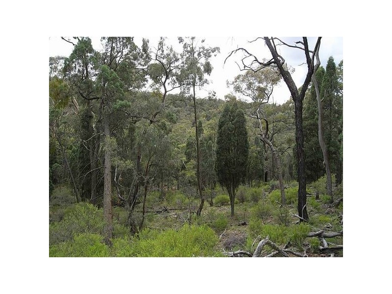 1399 Flags Rd, Merriwa NSW 2329