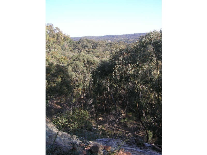1399 Flags Rd, Merriwa NSW 2329