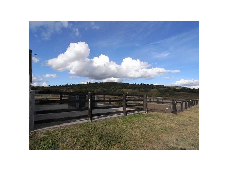 349 Allan Bridge Road, Scone NSW 2337