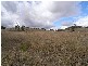 3 Trig Point Rd, Segenhoe NSW 2337