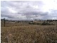 3 Trig Point Rd, Segenhoe NSW 2337