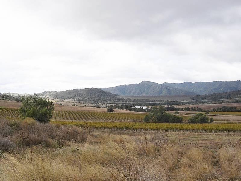 8 Trig Point Rd, Segenhoe NSW 2337