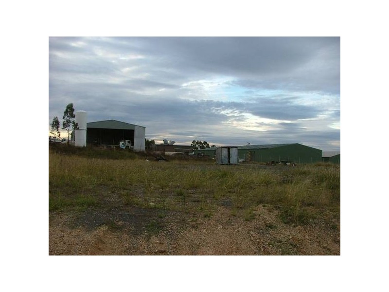 11 Glen Munro Rd, Muswellbrook NSW 2333