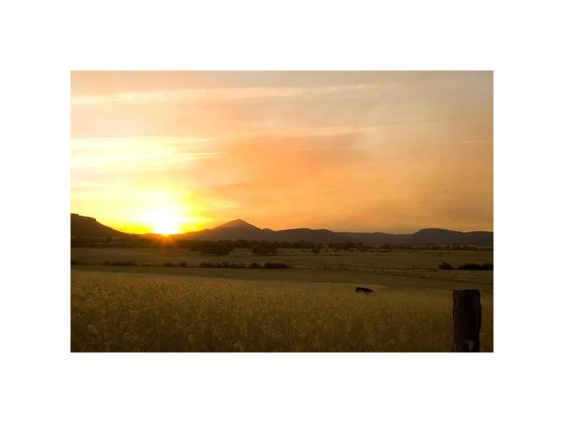 88 Richmond Grove Road “Cherwell”, Sandy Hollow NSW 2333