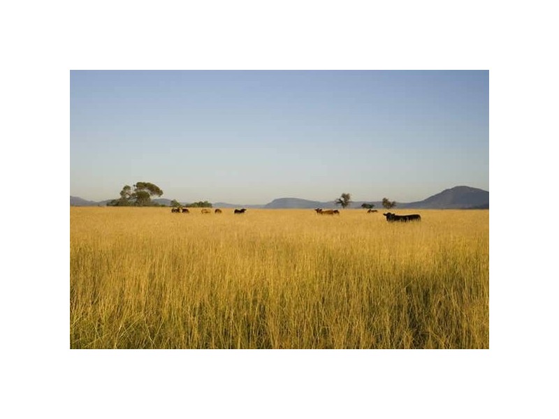 88 Richmond Grove Road “Cherwell”, Sandy Hollow NSW 2333