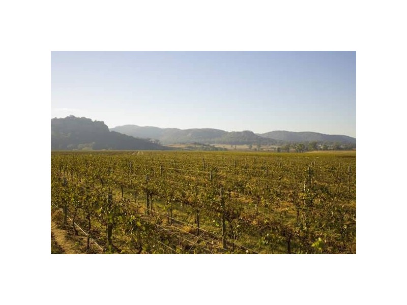 88 Richmond Grove Road “Cherwell”, Sandy Hollow NSW 2333