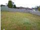 9 Beech Street, Muswellbrook NSW 2333
