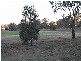 20 Cassidy Ave, Muswellbrook NSW 2333