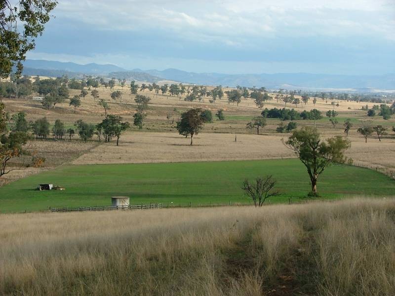 1669 Wybong Rd, Muswellbrook NSW 2333