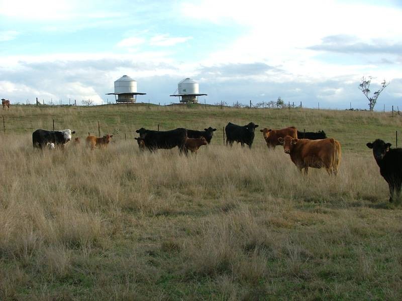 1669 Wybong Rd, Muswellbrook NSW 2333