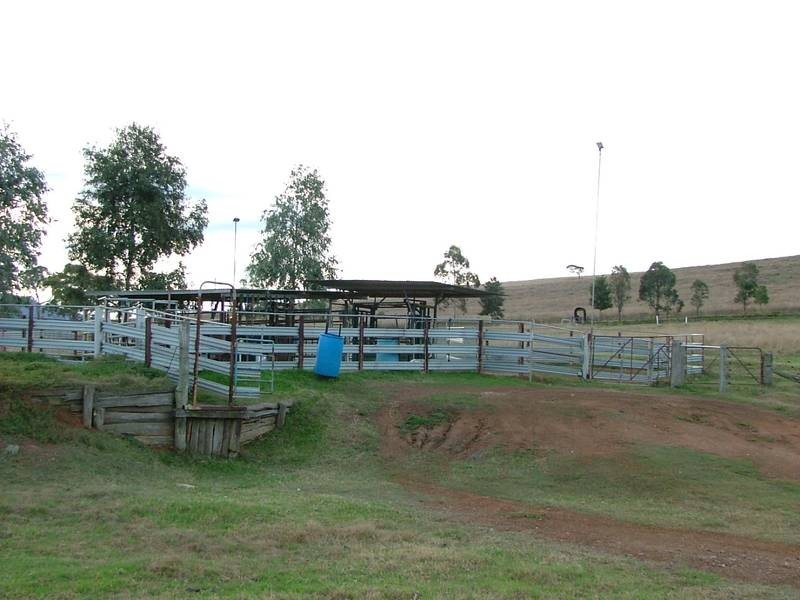 1669 Wybong Rd, Muswellbrook NSW 2333