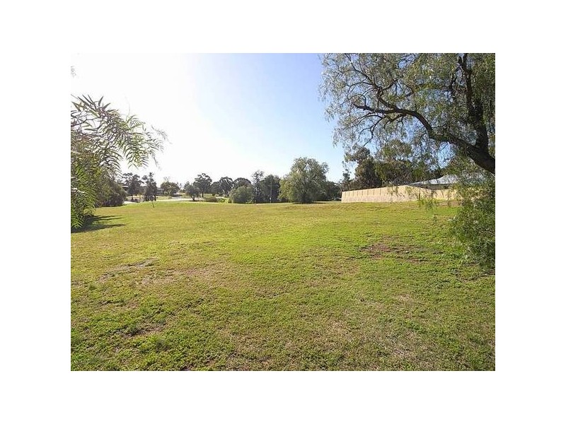 10 Brentwood Street, Muswellbrook NSW 2333